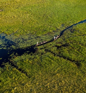 Mokoro safari through the Okavango Delta wetlands in Botswana
