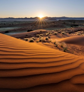 Namib Desert sand dunes at sunrise in Namibia