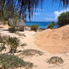 Pristine beach and coastal dunes in Mozambique